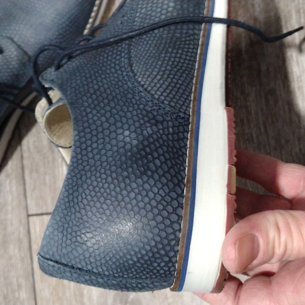 Bull Boxer Python Print Blue Leather Oxfords. Nwo… - image 6